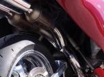 Acabion GTO 2007 года
